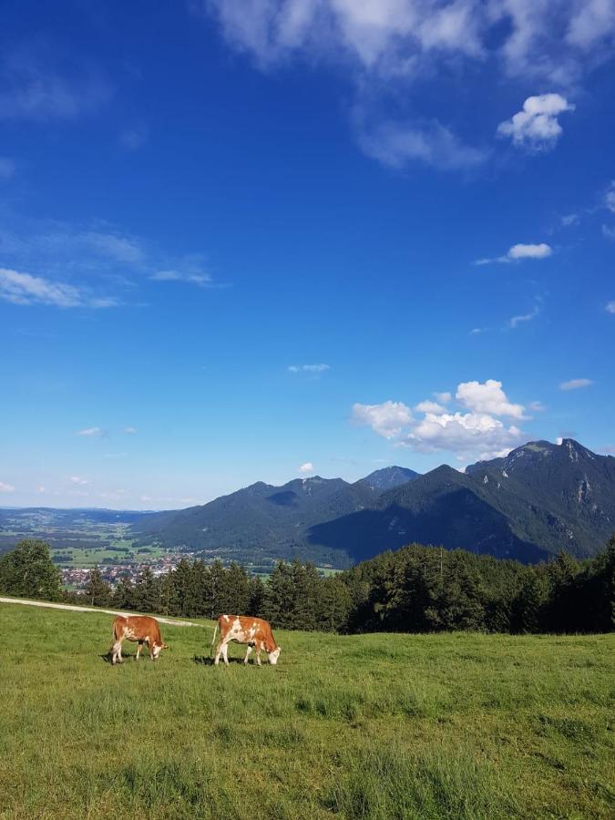 Ferienhaus Chiemgauer Auszeit- Chiemgaukarte Inclusive 希格斯多夫 外观 照片